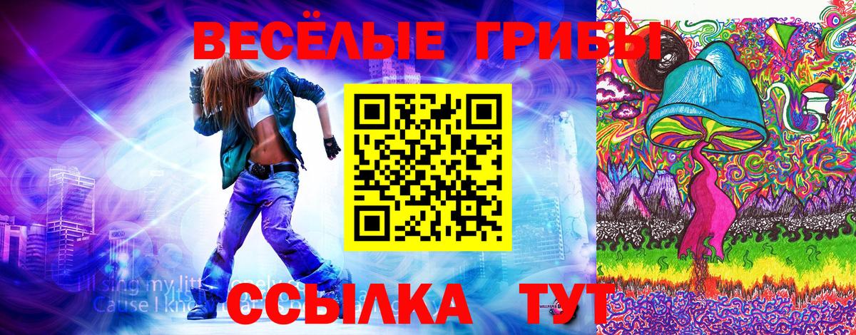 Псилоцибиновые грибы Psilocybe Грозный